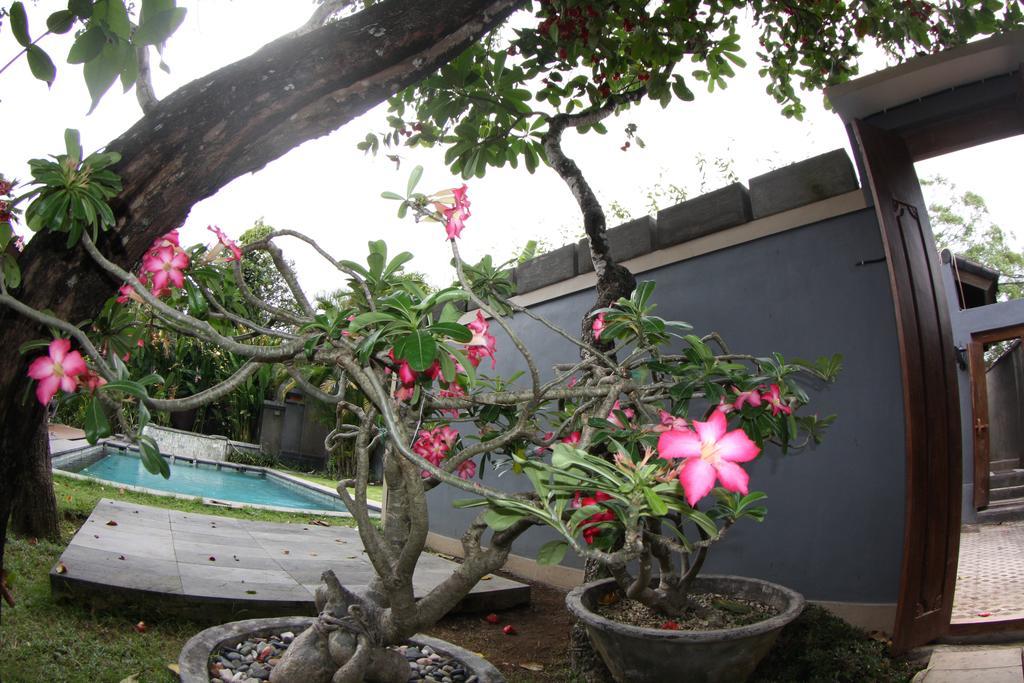 Villa D'Suite Seminyak Zewnętrze zdjęcie